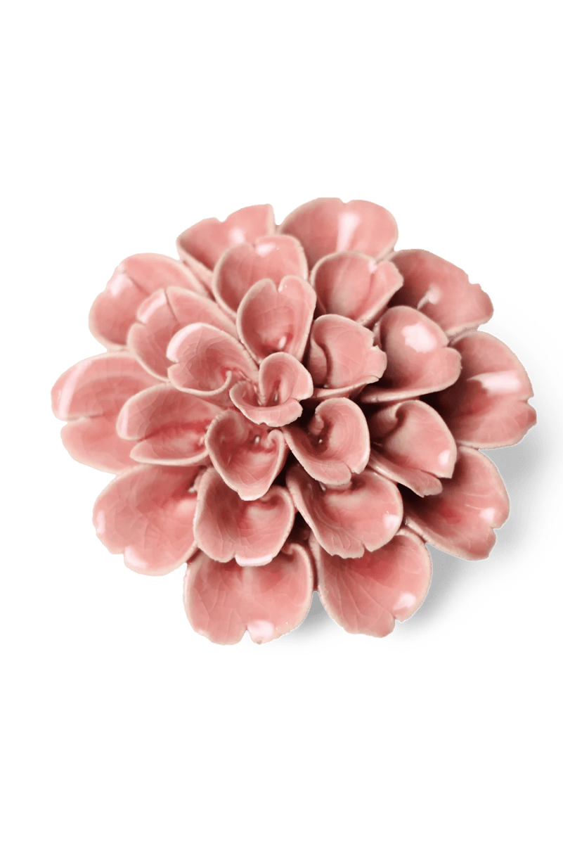 EG36 Champagne Pink Hydrangea - Chive US Wholesale