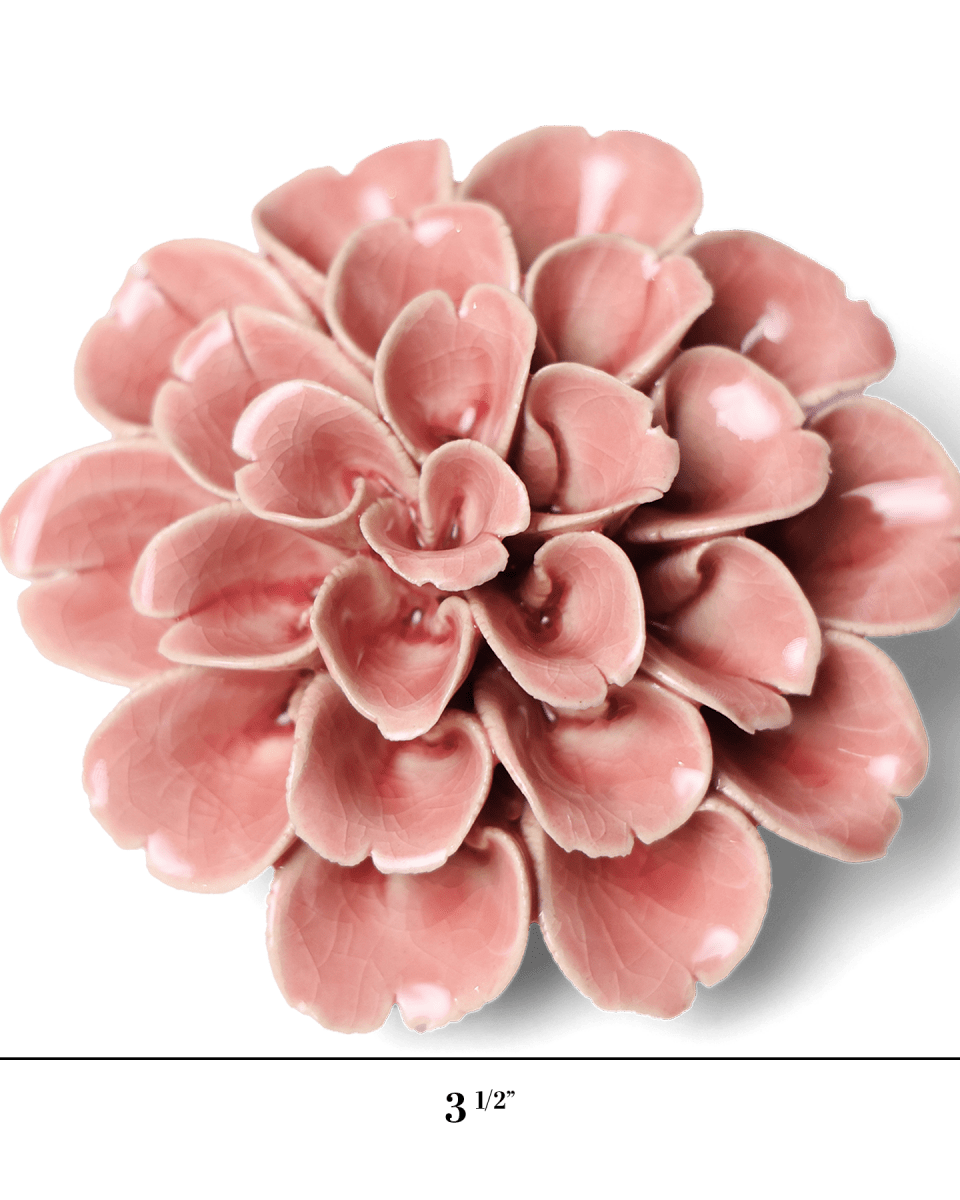 English Garden 36 Champagne Pink Hydrangea - Chive US Wholesale