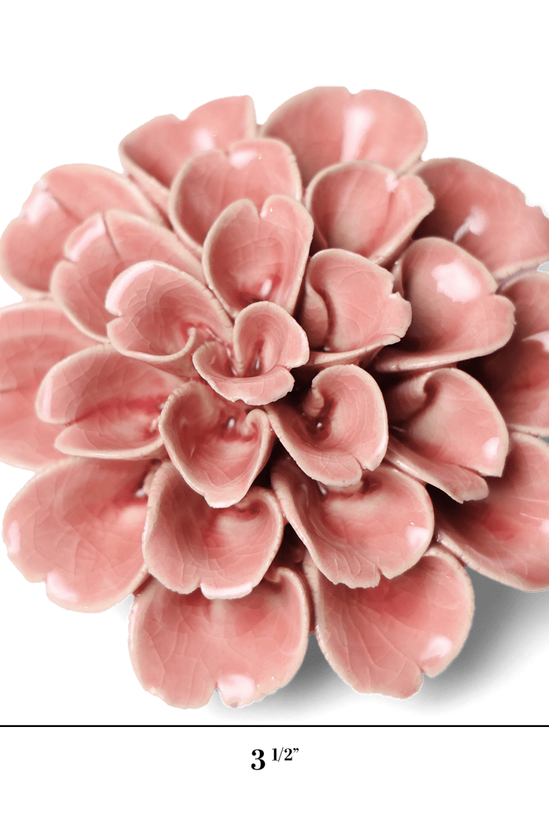 English Garden 36 Champagne Pink Hydrangea - Chive US Wholesale