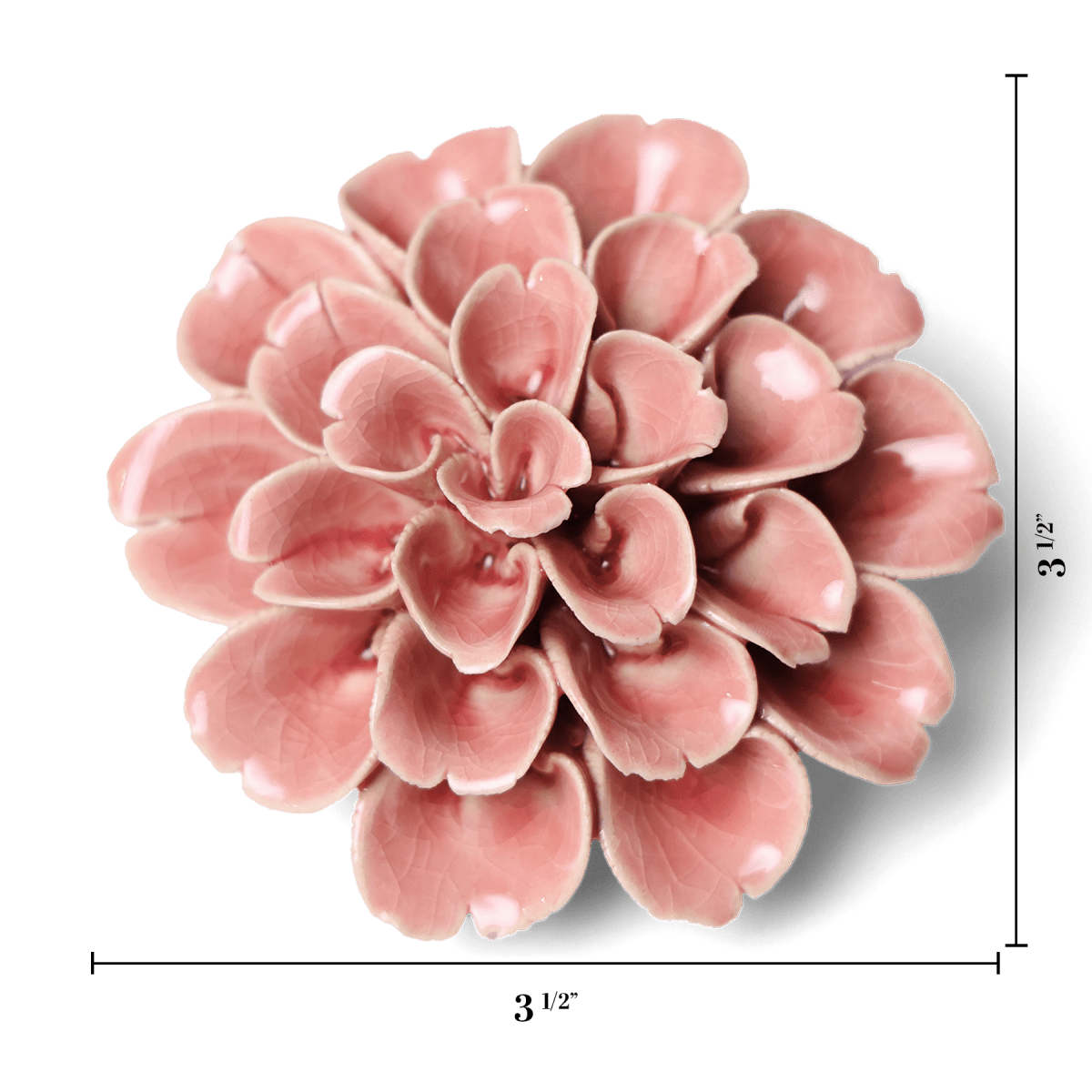 English Garden 36 Champagne Pink Hydrangea - Chive US Wholesale
