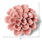 English Garden 36 Champagne Pink Hydrangea - Chive US Wholesale