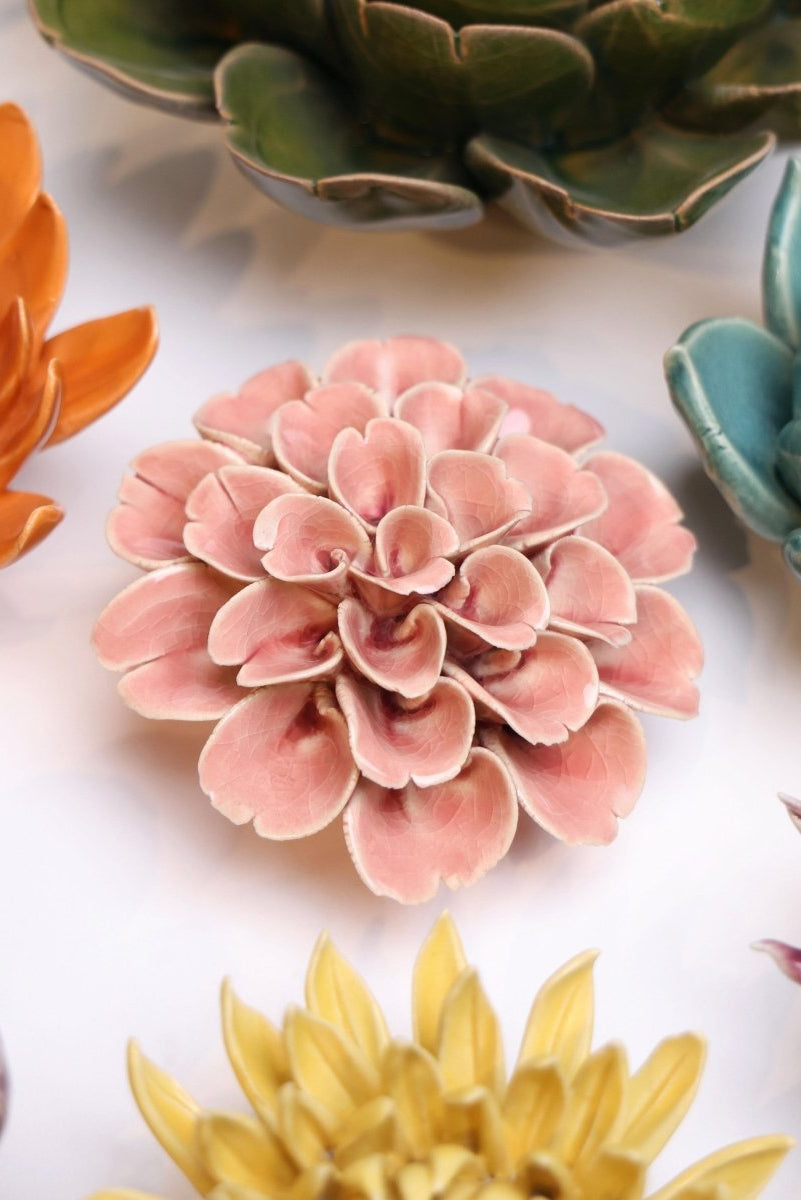English Garden 36 Champagne Pink Hydrangea - Chive US Wholesale