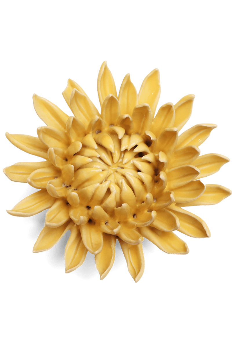 EG38 Canary Yellow Sarah Mum - Chive US Wholesale