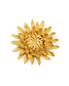 EG38 Canary Yellow Sarah Mum - Chive US Wholesale