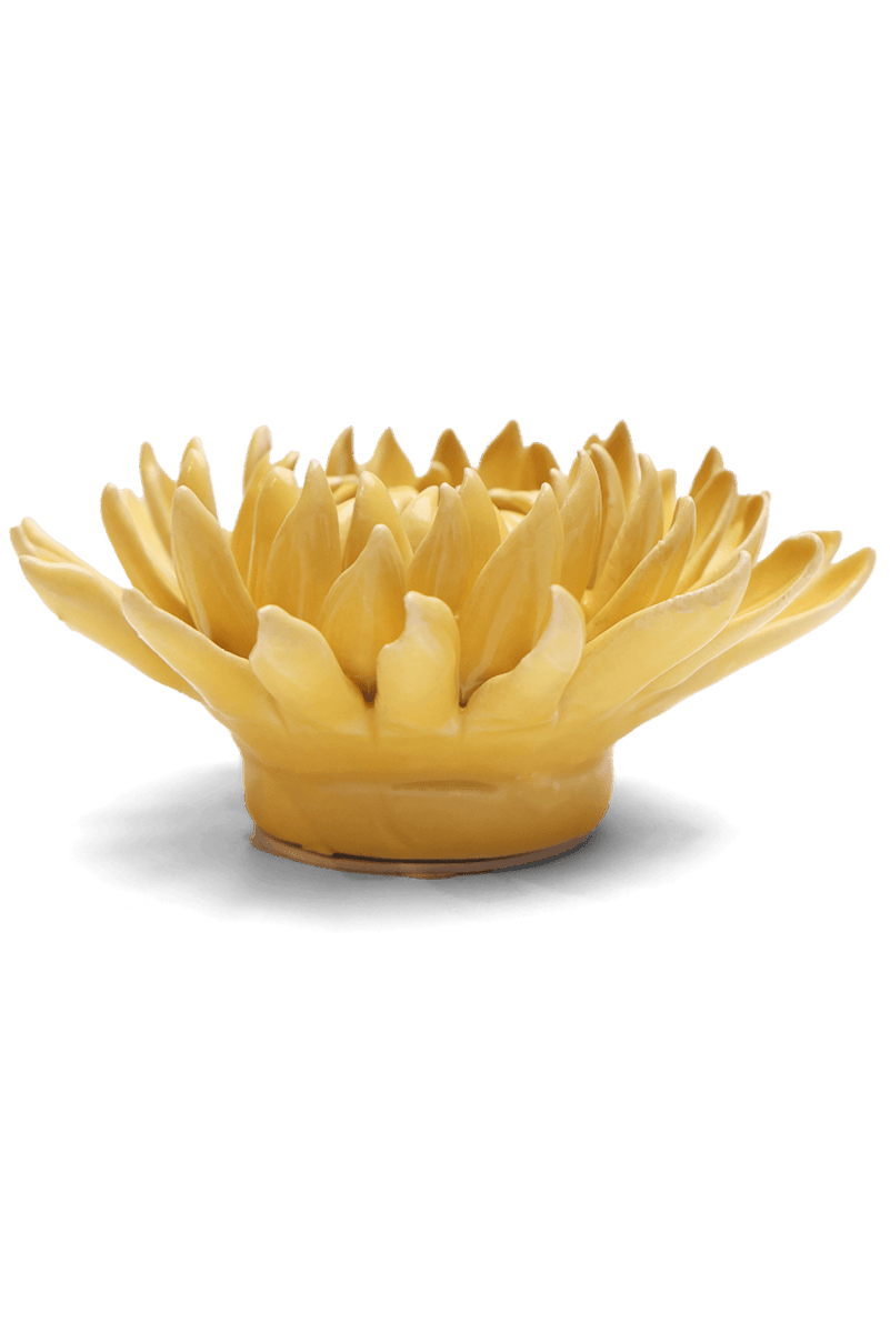 EG38 Canary Yellow Sarah Mum - Chive US Wholesale