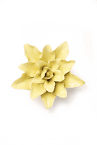 EG39 Lime Yellow Tiger Lily - Chive US Wholesale