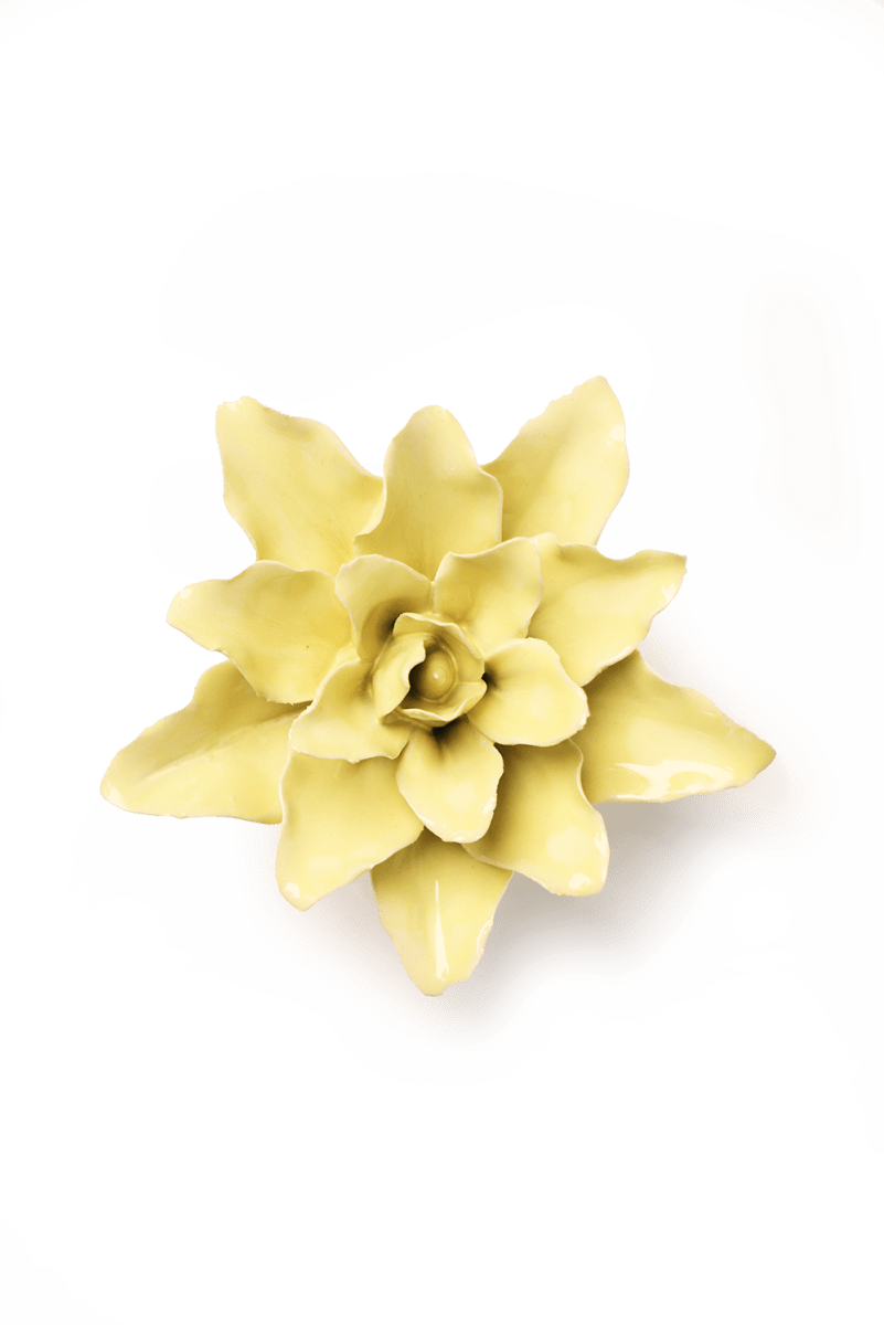 EG39 Lime Yellow Tiger Lily - Chive US Wholesale