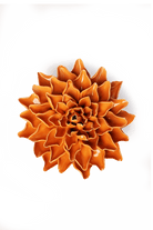 EG40 Orange Autumn Azalea - Chive US Wholesale