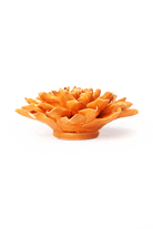 EG40 Orange Autumn Azalea - Chive US Wholesale