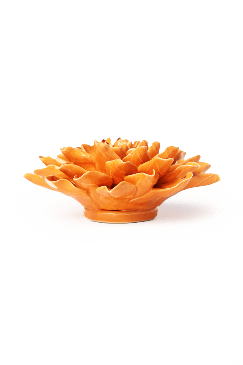 EG40 Orange Autumn Azalea - Chive US Wholesale