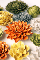 EG40 Orange Autumn Azalea - Chive US Wholesale