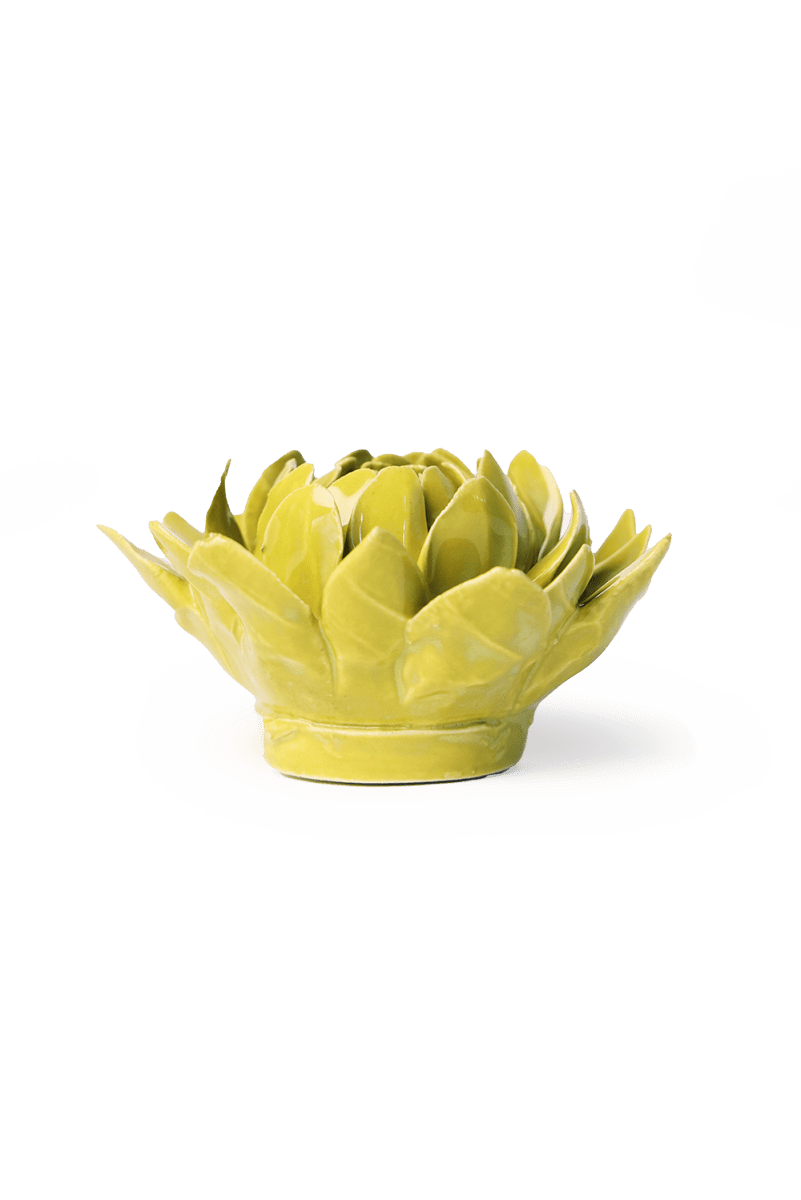 EG41 Chartreuse Sugarbush Protea - Chive US Wholesale