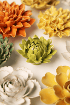 EG41 Chartreuse Sugarbush Protea - Chive US Wholesale