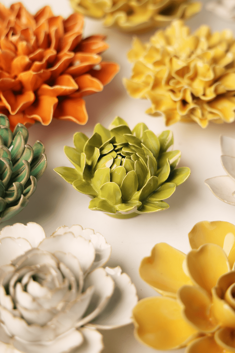 EG41 Chartreuse Sugarbush Protea - Chive US Wholesale