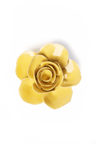 EG42 Buttercup Yellow Elegance Ranunculus - Chive US Wholesale