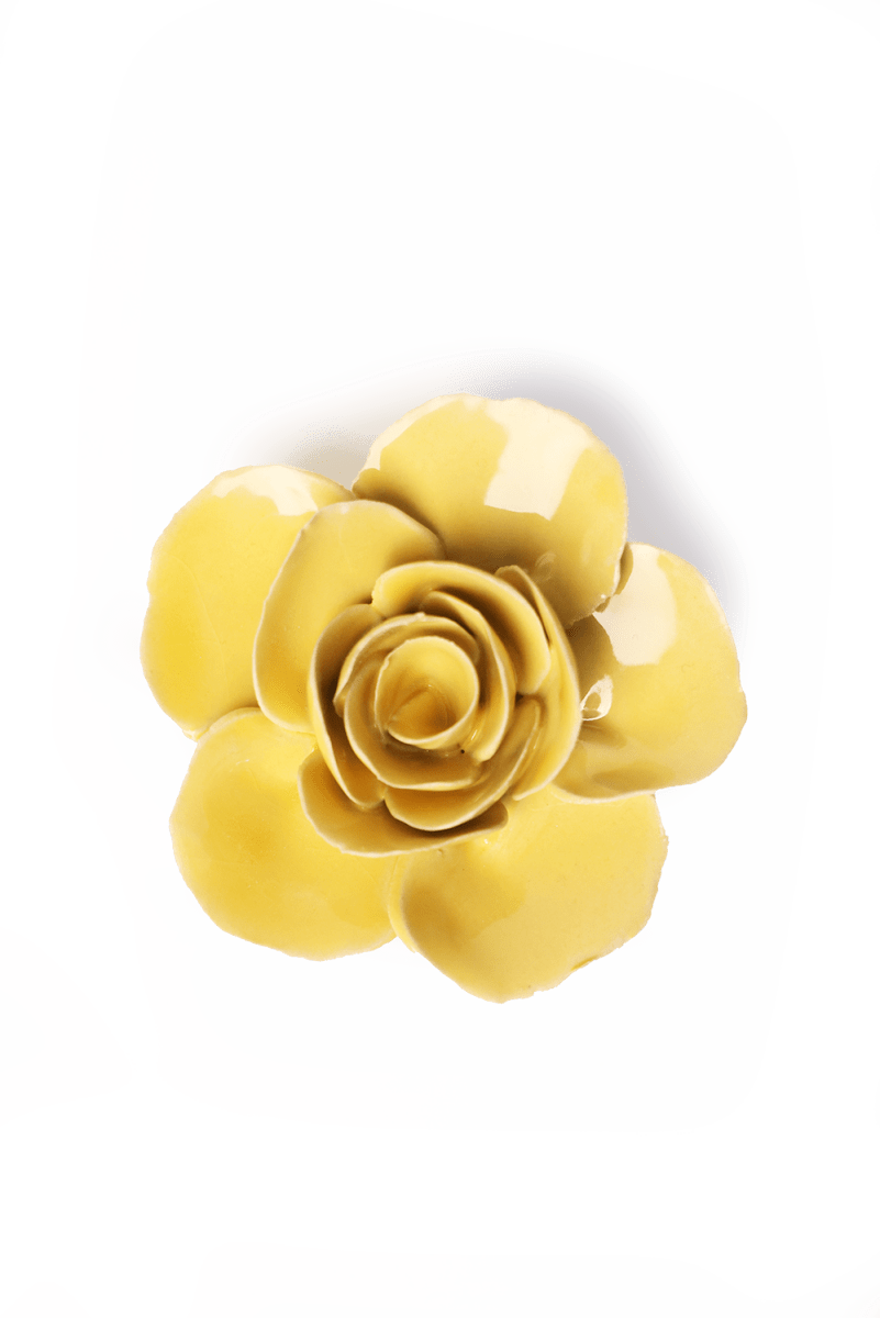 EG42 Buttercup Yellow Elegance Ranunculus - Chive US Wholesale