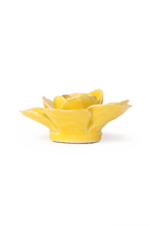 EG42 Buttercup Yellow Elegance Ranunculus - Chive US Wholesale