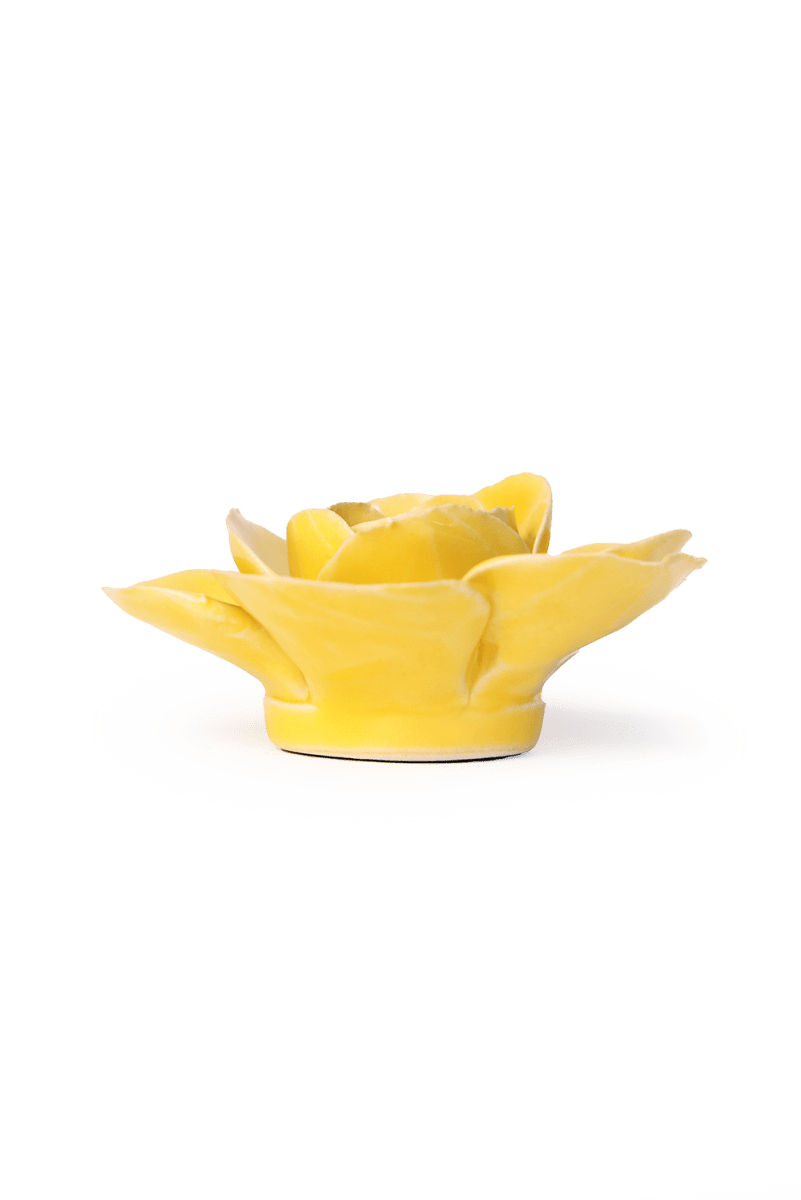 EG42 Buttercup Yellow Elegance Ranunculus - Chive US Wholesale