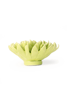 EG43 Yellow Green Pompom Mum - Chive US Wholesale