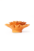 EG44 Orange Fiesta Marigold - Chive US Wholesale