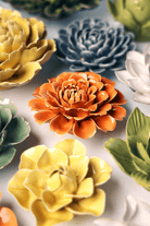 EG44 Orange Fiesta Marigold - Chive US Wholesale