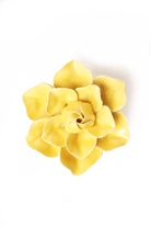 March Birth Flower - Daffodil - Chive US Wholesale