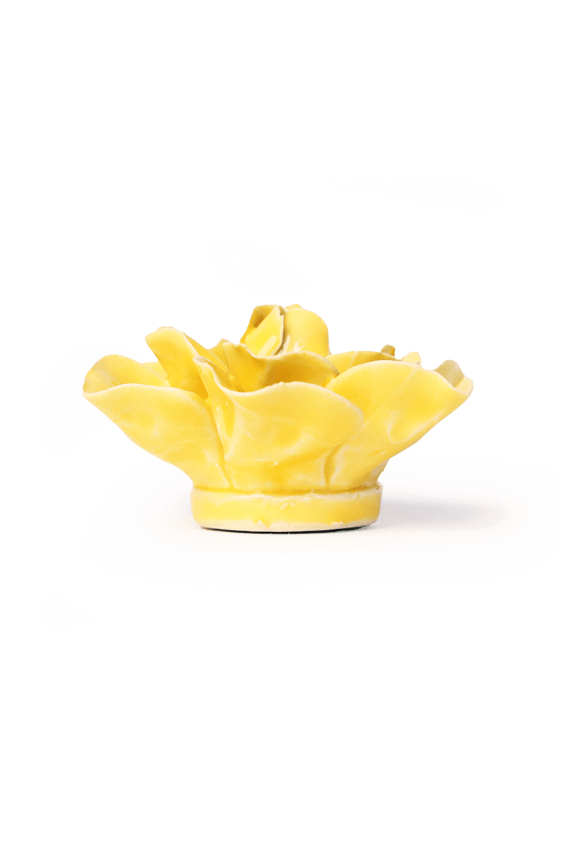 EG45 Buttercup Yellow Daffodil - Chive US Wholesale