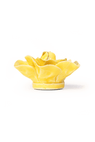 March Birth Flower - Daffodil - Chive US Wholesale