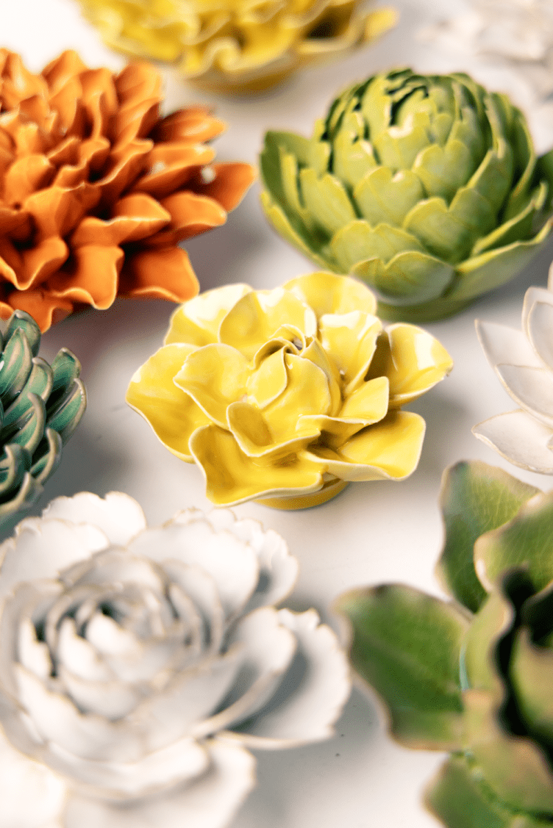 EG45 Buttercup Yellow Daffodil - Chive US Wholesale