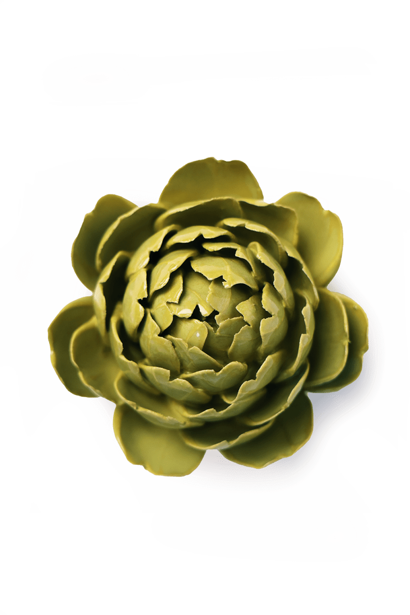 EG46 Chartreuse Queen Protea - Chive US Wholesale