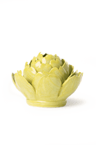 EG46 Chartreuse Queen Protea - Chive US Wholesale