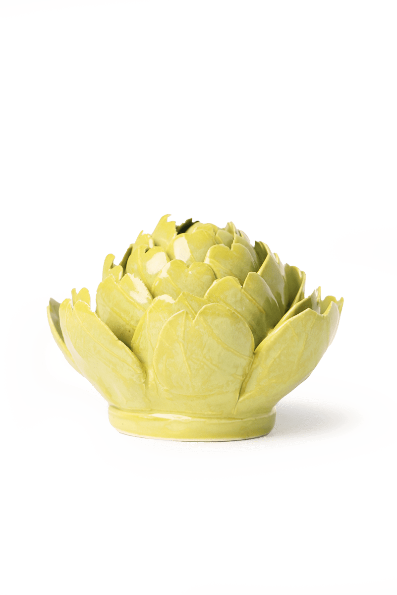 EG46 Chartreuse Queen Protea - Chive US Wholesale