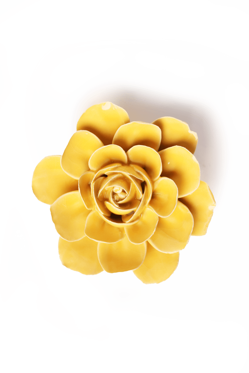 EG47 Burnt Yellow Begonia - Chive US Wholesale