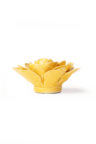 EG47 Burnt Yellow Begonia - Chive US Wholesale