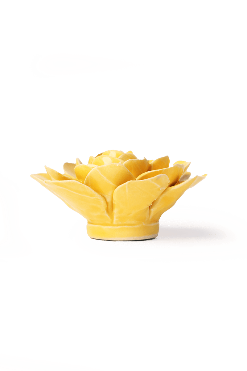 EG47 Burnt Yellow Begonia - Chive US Wholesale