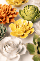 EG47 Burnt Yellow Begonia - Chive US Wholesale