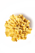 EG48 Burnt Yellow Tundra Carnation - Chive US Wholesale