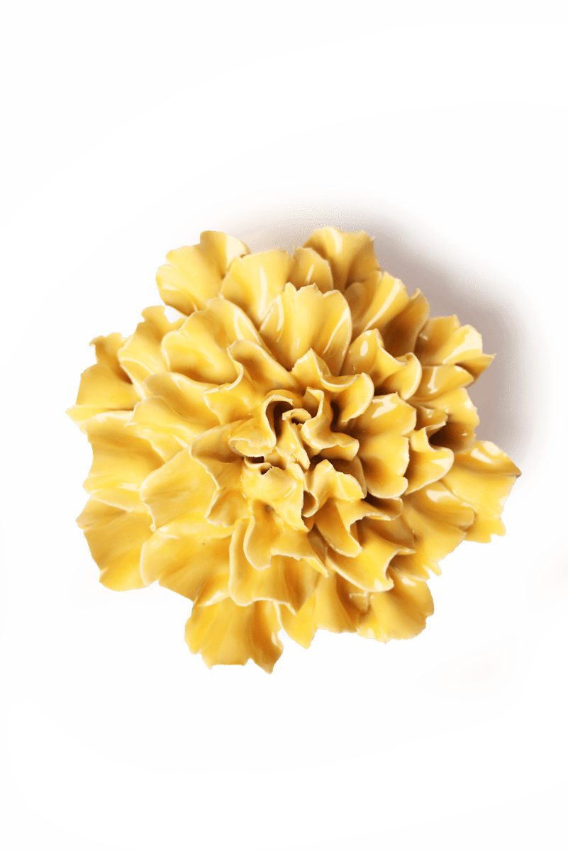 EG48 Burnt Yellow Tundra Carnation - Chive US Wholesale