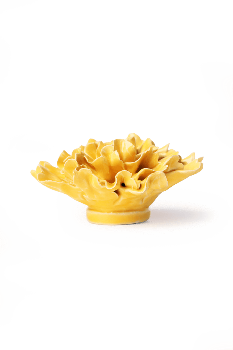 EG48 Burnt Yellow Tundra Carnation - Chive US Wholesale