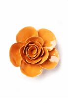 EG49 Orange Elegance Ranunculus - Chive US Wholesale