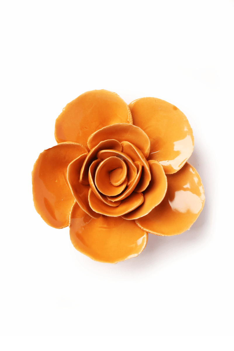 EG49 Orange Elegance Ranunculus - Chive US Wholesale