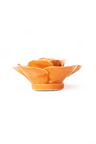 EG49 Orange Elegance Ranunculus - Chive US Wholesale