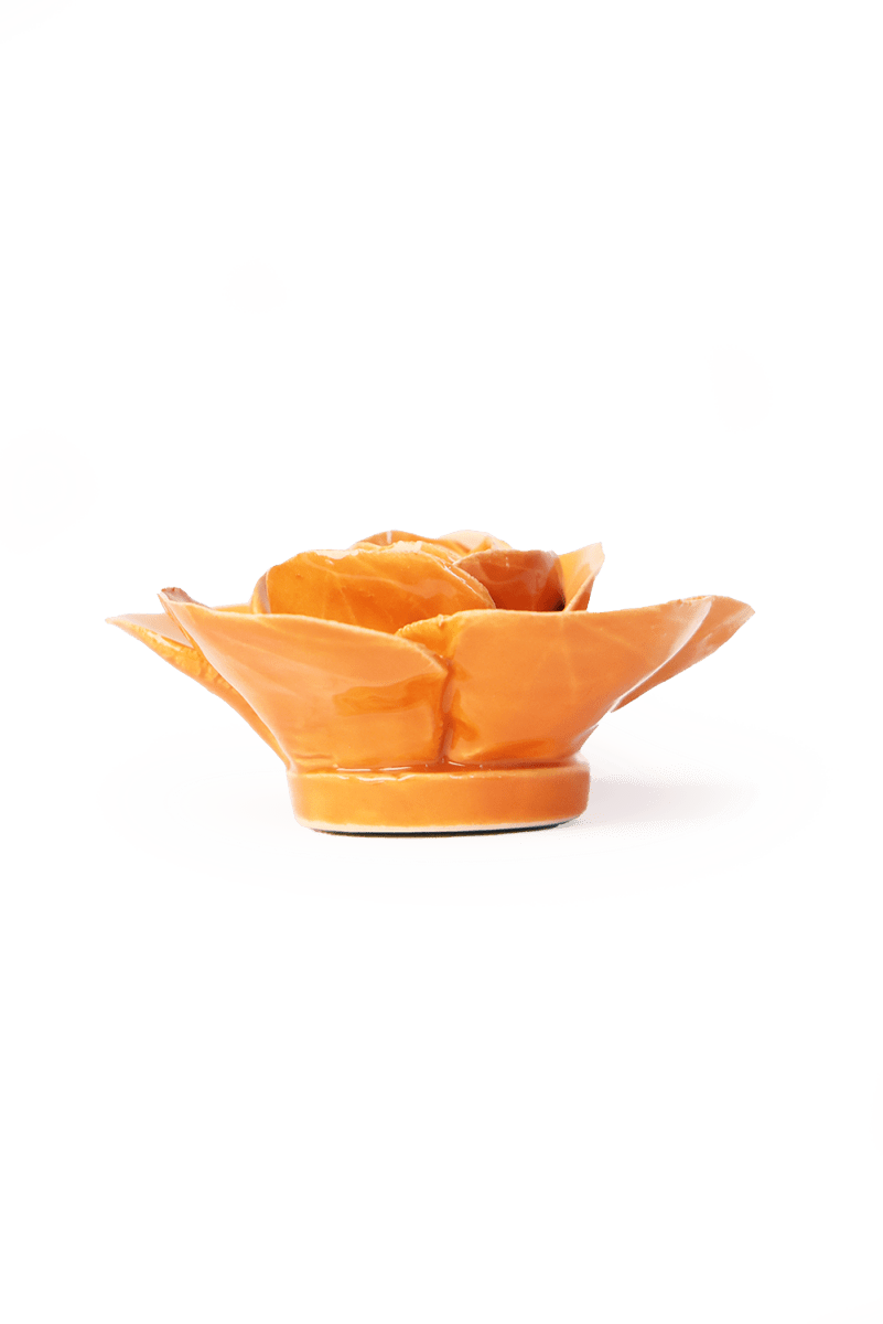 EG49 Orange Elegance Ranunculus - Chive US Wholesale