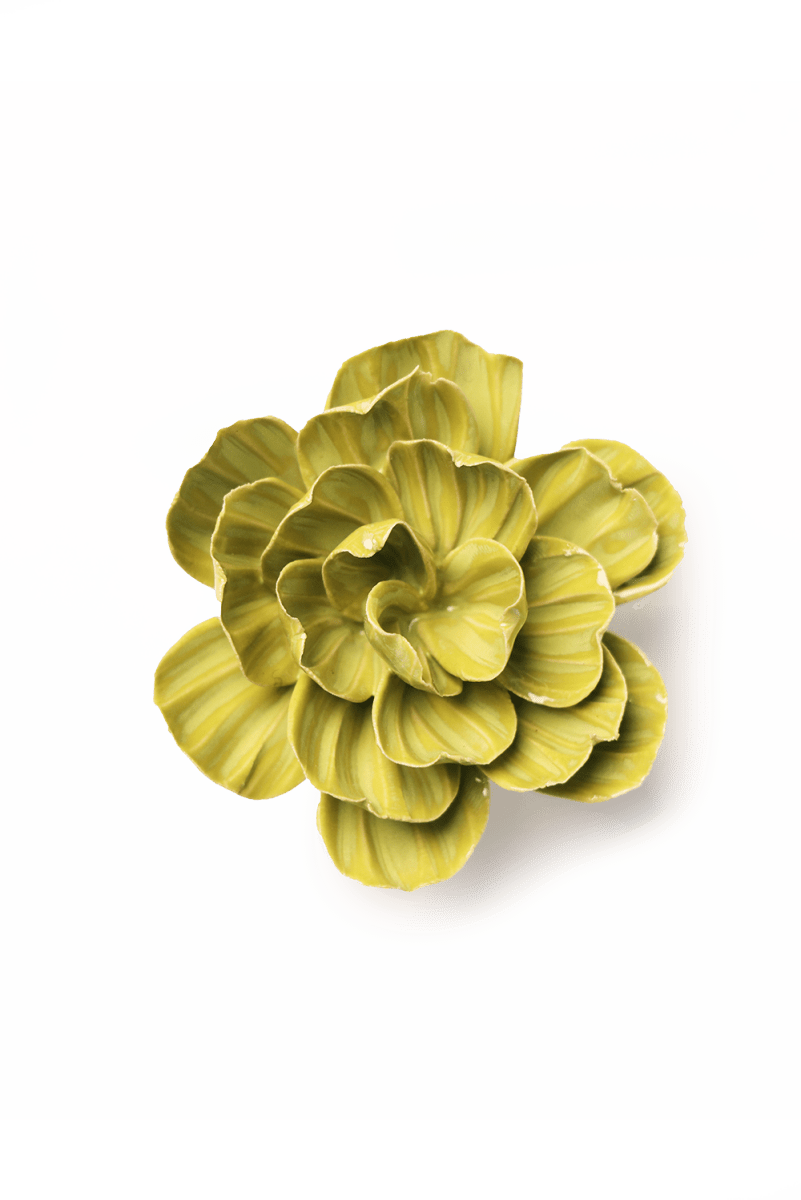 EG50 Chartreuse Primrose - Chive US Wholesale