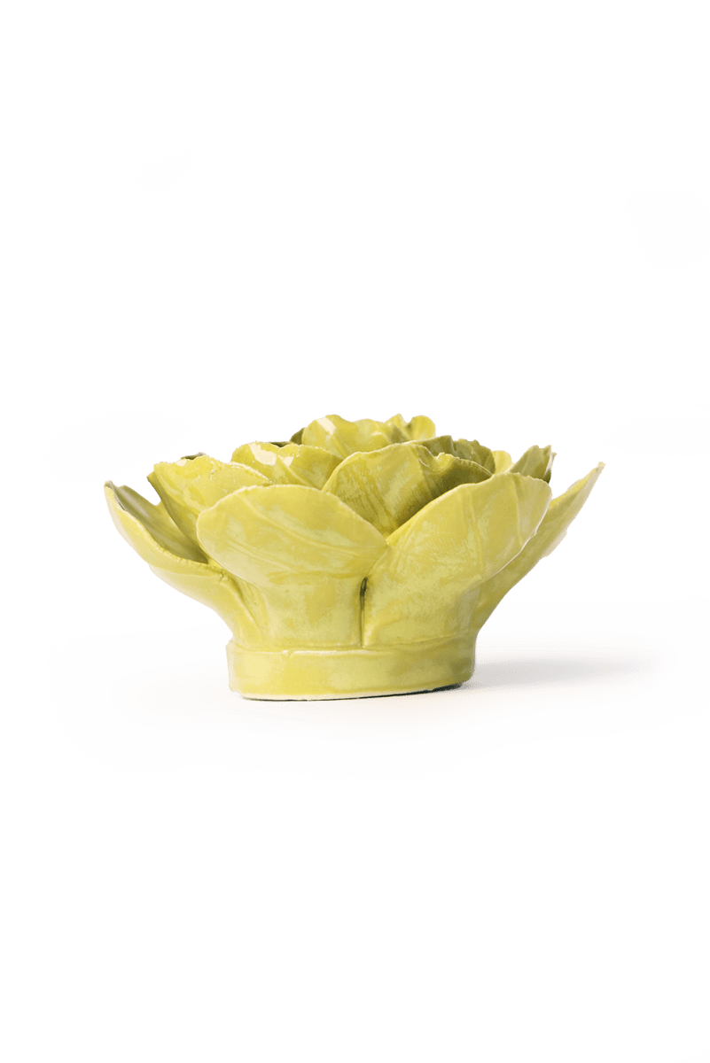 EG50 Chartreuse Primrose - Chive US Wholesale