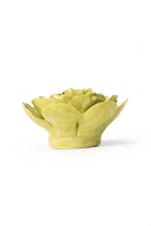 February Birth Flower - Primrose - Chive US Wholesale