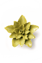 EG51 Chartreuse Tiger Lily - Chive US Wholesale