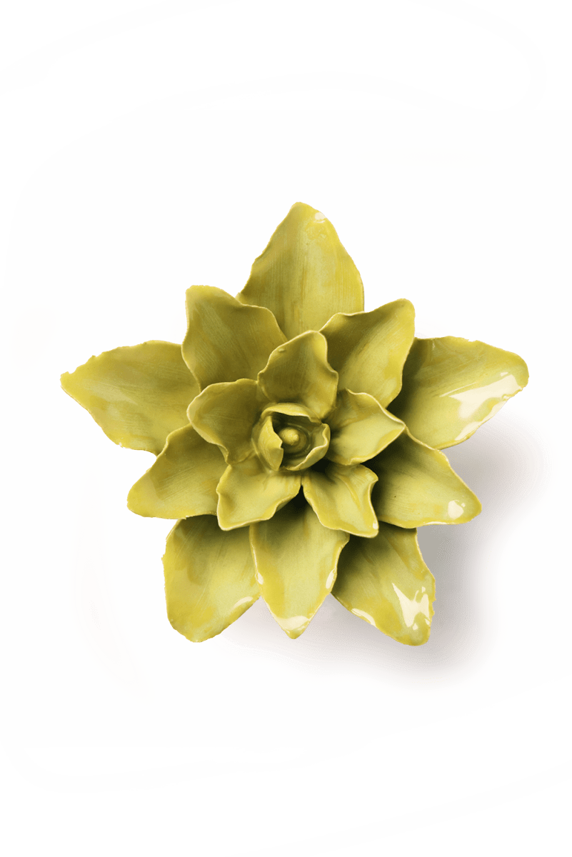 EG51 Chartreuse Tiger Lily - Chive US Wholesale