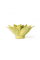 EG51 Chartreuse Tiger Lily - Chive US Wholesale