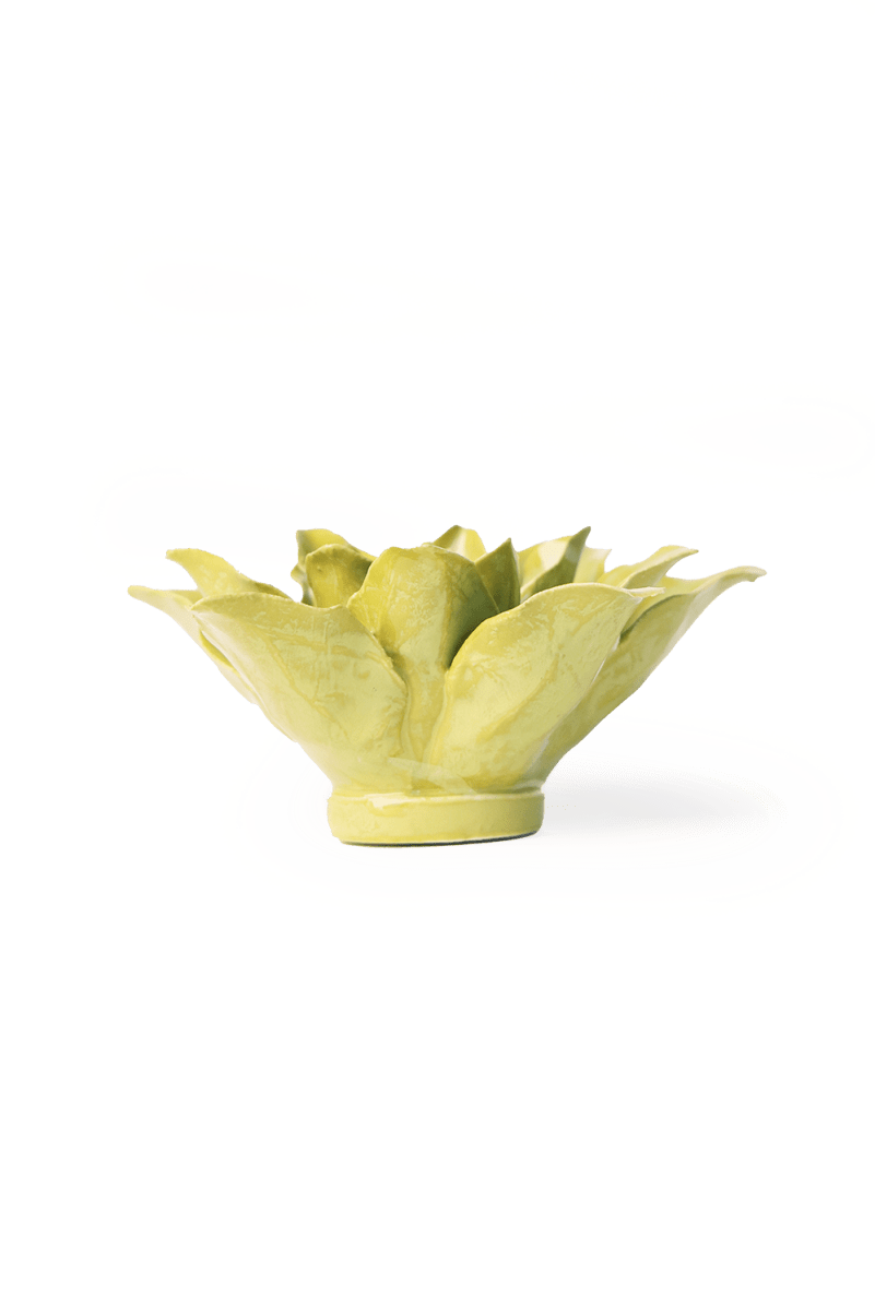 EG51 Chartreuse Tiger Lily - Chive US Wholesale